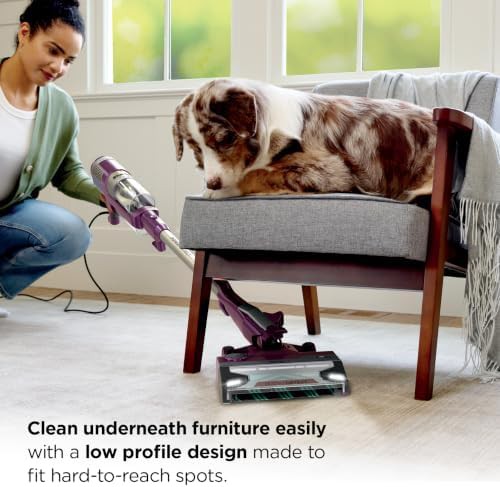 Purple PowerDetect Corded HEPA Vacuum — photo 3